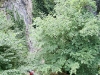 img_7422_k