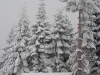 img_6866_k.jpg