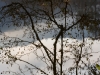 IMG_5738_k.jpg