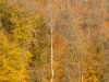 IMG_5751_k.jpg