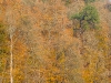 IMG_5752_k.jpg