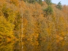 IMG_5753_k.jpg