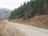 IMG_5793_k.jpg