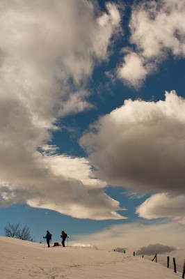 Her zaman bu kadar güzel mi bilmem.