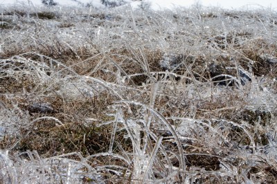 Sülüklü göl üzerinde bir Şubat günü